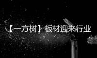 【一方树】板材迎来行业大咖，共谋发展新篇章
