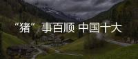 “猪”事百顺 中国十大烟机品牌利用产品引爆市场