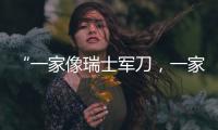 “一家像瑞士军刀
，一家像手术刀”：中国版英伟达抢滩科创板