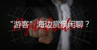 “游客”海边赏景闲聊
？可能是间谍乔装刺探军情