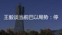 王毅谈当前巴以局势：停火止暴是当务之急
