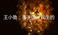 王小鲁：事关国计民生的重大问题，我就想去碰一碰丨不惑 2024