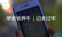 犟老爸养牛｜记者过年