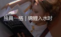 独具一格｜锦鲤入水时 他们放声大笑