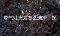 燃气灶火力怎么选择，保留营养还成就美味!