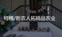 特稿/新农人拓精品农业 种豆苗突围