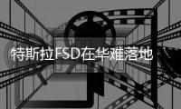 特斯拉FSD在华难落地催生灰色产业链：山寨版安装仅需几百元，官方警示“改装会影响整车质保服务”
