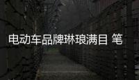 电动车品牌琳琅满目 笔者教你判断优劣