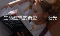 生命建筑的奇迹——阳光房