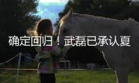 确定回归！武磊已承认夏窗回归上海海港队
