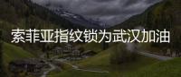 索菲亚指纹锁为武汉加油
：樱花樱花	，我想守护你
