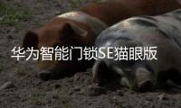 华为智能门锁SE猫眼版21日正式发售，带你告别“忘带钥匙”焦虑