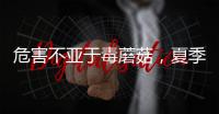 危害不亚于毒蘑菇
，夏季吃海鲜小心贝类中毒