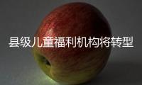 县级儿童福利机构将转型！未来工作重点在哪里	？