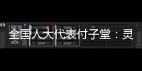 全国人大代表付子堂：灵活就业人群个税不应“一刀切”