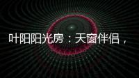 叶阳阳光房：天窗伴侣，静音降温，防虫去热�，享受清凉!