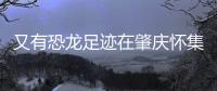 又有恐龙足迹在肇庆怀集被发现！发现者为大三学生