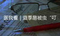 医我看｜夏季易被虫“叮”上？别慌�，这样处理才对