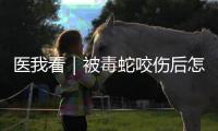 医我看｜被毒蛇咬伤后怎么办�
？这份急救指南请收好