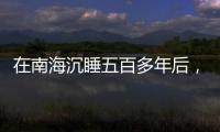 在南海沉睡五百多年后
，它们终于出水展出