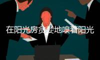在阳光房贪婪地嗅着阳光的味道!