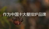 作为中国十大壁挂炉品牌 性价比是首位