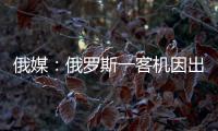 俄媒	：俄罗斯一客机因出现技术故障返航