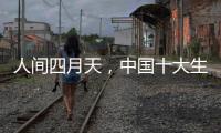人间四月天，中国十大生态板品牌以质取胜