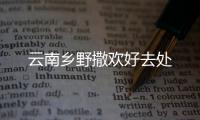 云南乡野撒欢好去处