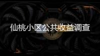 仙桃小区公共收益调查