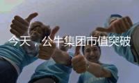 今天，公牛集团市值突破千亿!民用电工王国正在崛起……