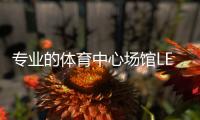 专业的体育中心场馆LED照明用什么灯比较好