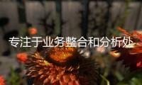 专注于业务整合和分析处理 安防大数据有发展