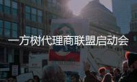 一方树代理商联盟启动会：展示健康艺术板材，引领家居市场新潮流