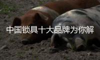 中国锁具十大品牌为你解决生活中的“锁”事