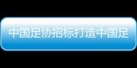 中国足协招标打造中国足球行业大模型，投标限价1068万元