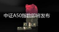 中证A50指数即将发布：入选股有何特别？｜智库大咖论①