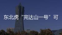 东北虎“完达山一号”可能已“脱单”！