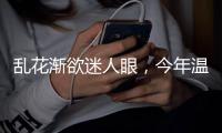 乱花渐欲迷人眼，今年温网真的冷！