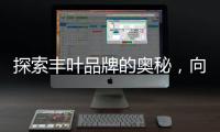 探索丰叶品牌的奥秘
，向专业致敬