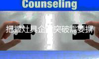 把握灶具企业突破需要摒弃山寨
，勇于创新