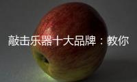 敲击乐器十大品牌：教你保养小提琴