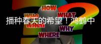 播种春天的希望！鸿鹤中学师生家长共植成长林