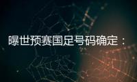 曝世预赛国足号码确定�：艾克森11号 武磊7号