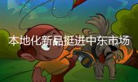 本地化新品挺进中东市场！中联重科R系列旋挖钻机交付阿联酋