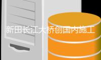 新田长江大桥创国内施工纪录 逾200吨重钢箱梁在百米江面空中接力