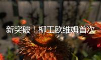 新突破
！柳工欧维姆首次牵头修订国际标准ISO14655