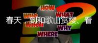 春天，到和歌山赏樱、看猫