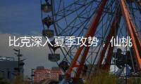 比克深入夏季攻势，仙桃市场开门红