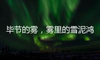 毕节的雾
，雾里的雪泥鸿爪丨记者手记